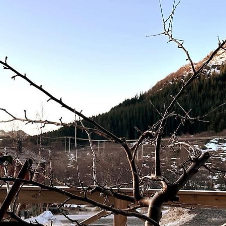 Ett Roms Leilighet Vestvagoy Gravdal  Dış mekan fotoğraf